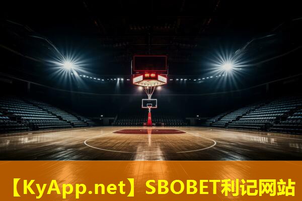 利记公司：品质生活从运动开始！室外体育健身器材配件专业指南
