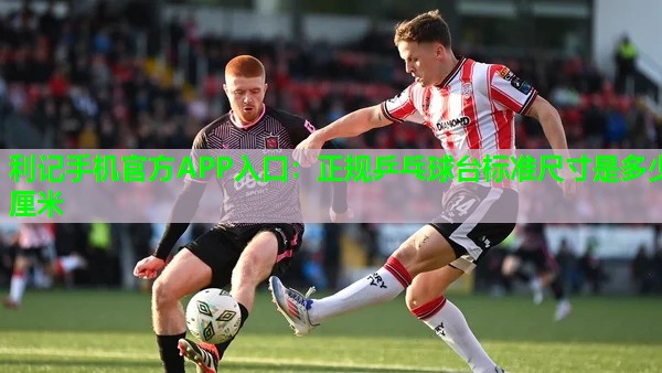 利记手机官方APP入口：正规乒乓球台标准尺寸是多少厘米