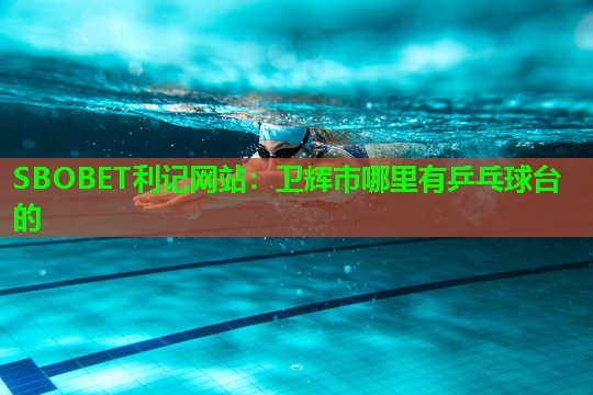 卫辉市哪里有乒乓球台的 卫辉市哪里有乒乓球台的
