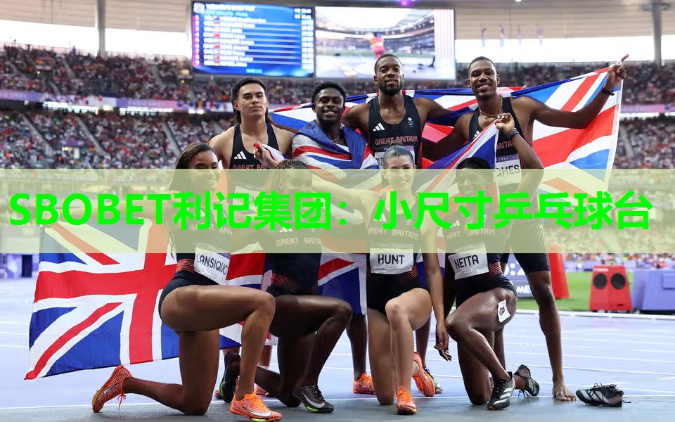 小尺寸乒乓球台 小尺寸乒乓球台